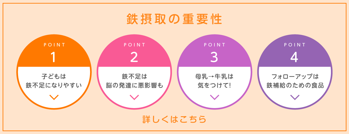 乳幼児における鉄摂取の重要性について