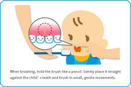 When brushing, hold the brush like a pencil. Gently place it straight against the child’s teeth and brush in small, gentle movements