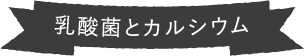 乳酸菌とカルシウム